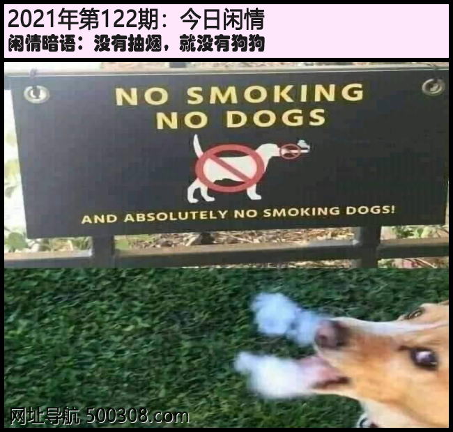 122期今日闲情：没有抽烟，就没有狗狗