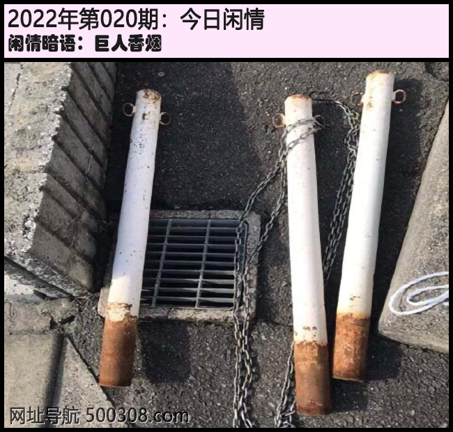 020期今日闲情：巨人香烟