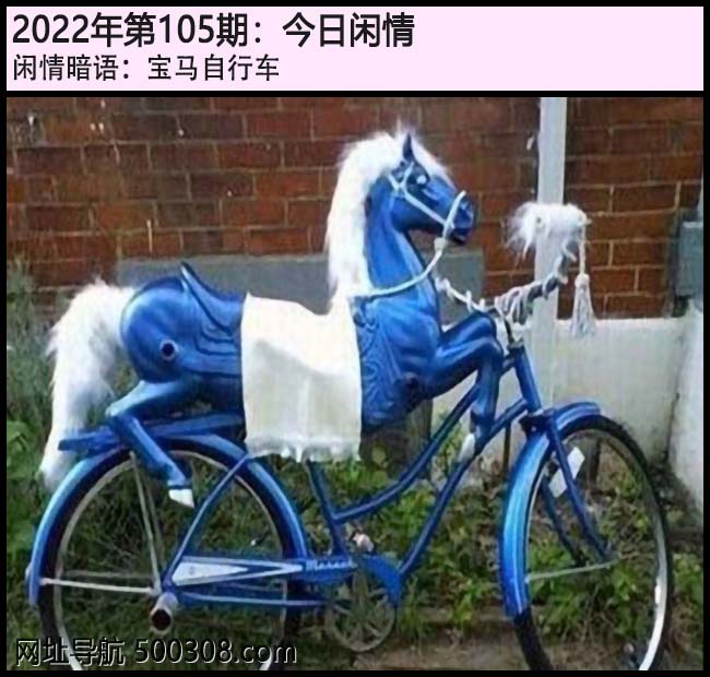 105期今日闲情：宝马自行车