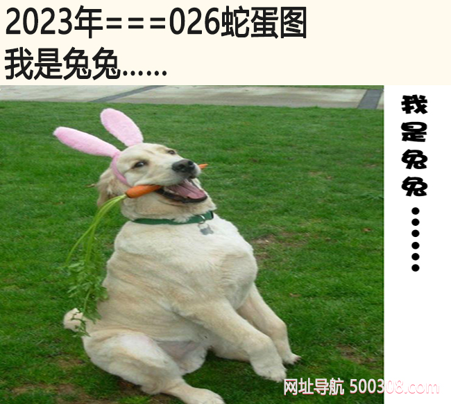026期蛇蛋图：我是兔兔……