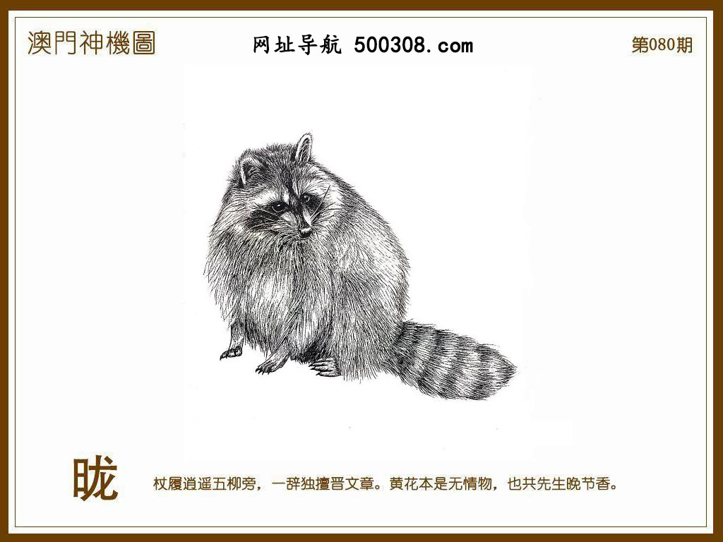 080�ڣ�������ͼ/����Ƿ�/׽��Ф/����ͼ/��ͼ�ַ���/�ر�ͼ/��������ͼ/�������ͼ