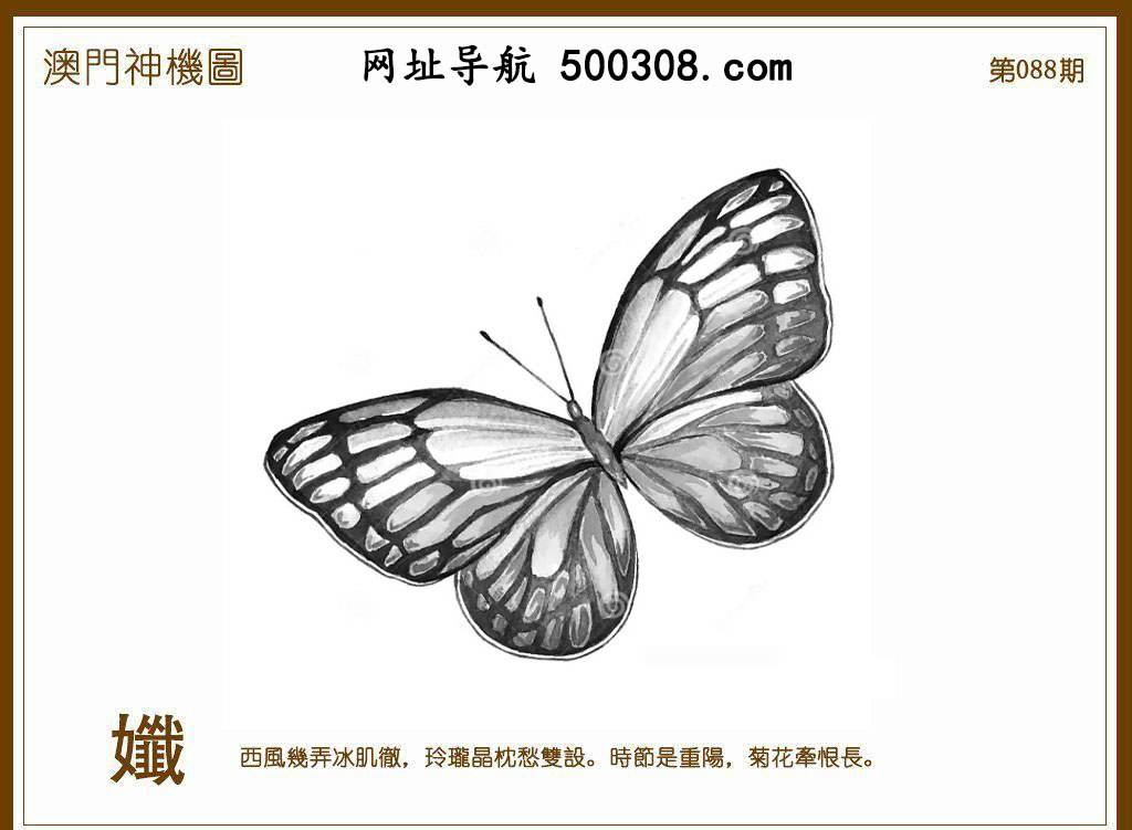 088�ڣ�������ͼ/����Ƿ�/׽��Ф/����ͼ/��ͼ�ַ���/�ر�ͼ/��������ͼ/�������ͼ