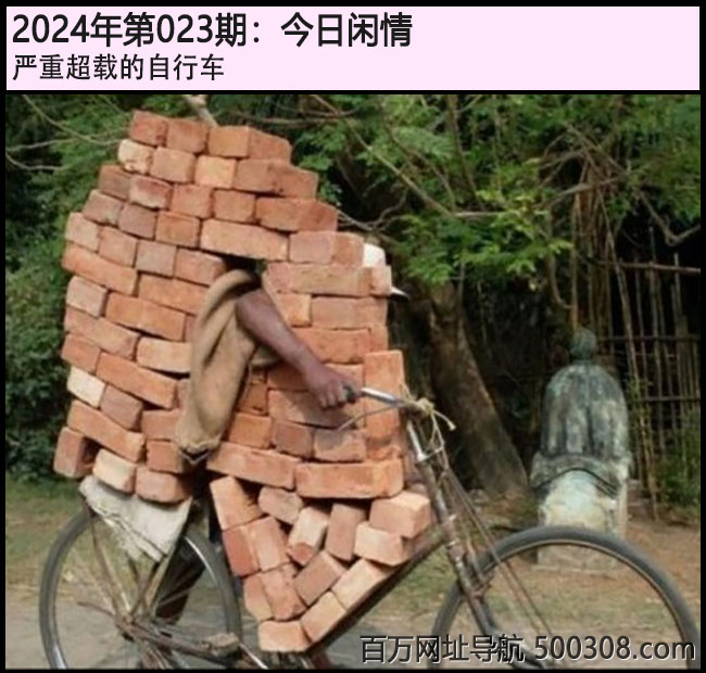 023期今日闲情：严重超载的自行车