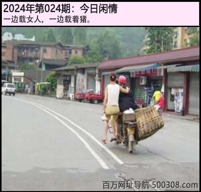 024期今日闲情：一边载女人，一边载着猪。