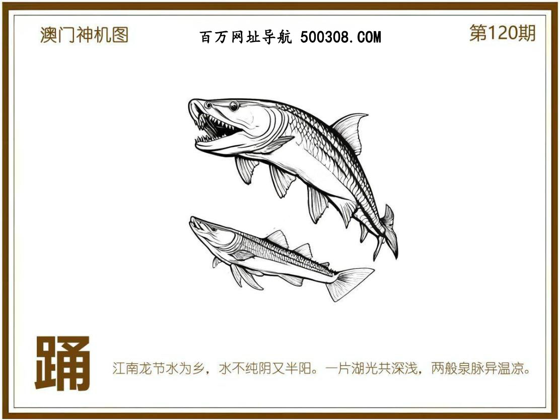 120期：悟入其图/相入非非/捉生肖/七星图/好图乐翻天/藏宝图/发财玄机图/澳门神机图