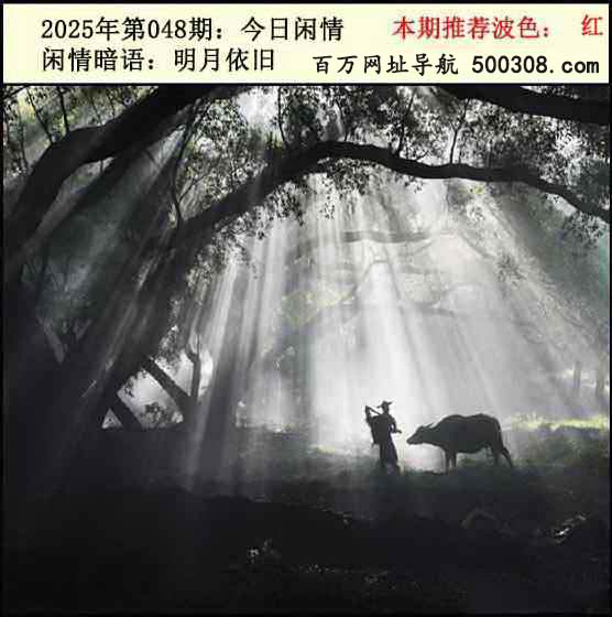 048ڣ2