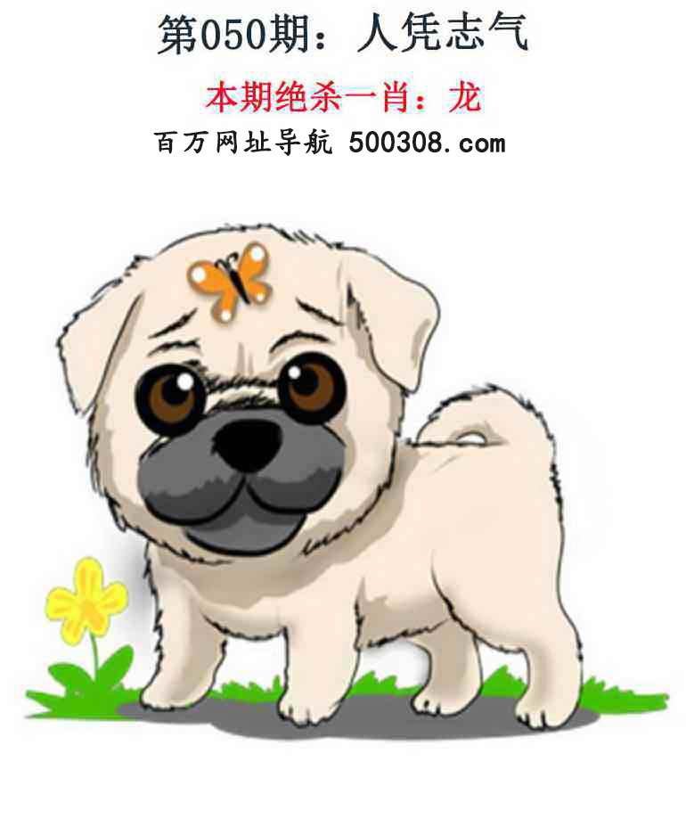 050ڣǮ湦